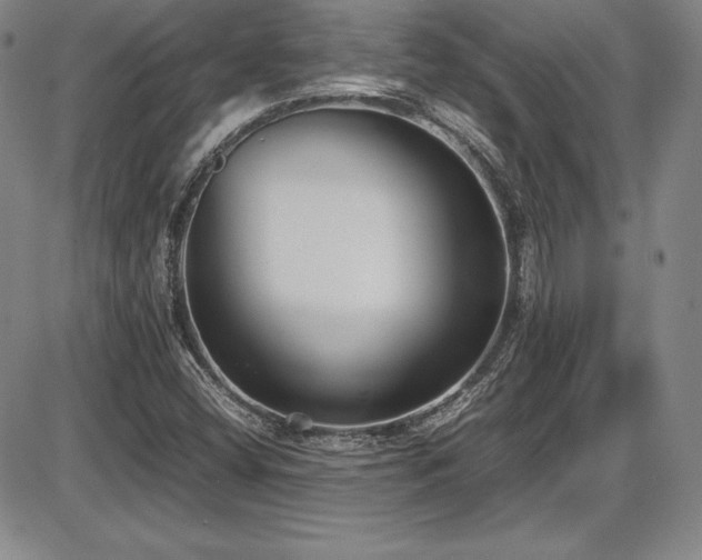X0000086241404200703291343