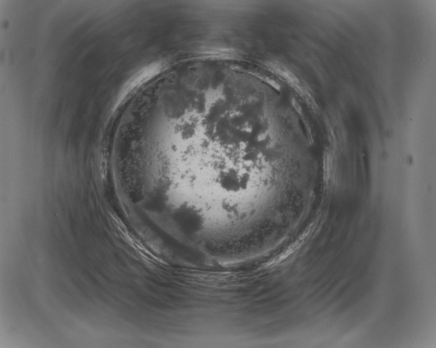 X0000086241405200703291343