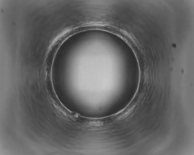 X0000086241406200703291343