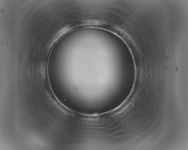 X0000086241409200703291343