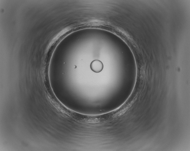 X0000086241410200703291343