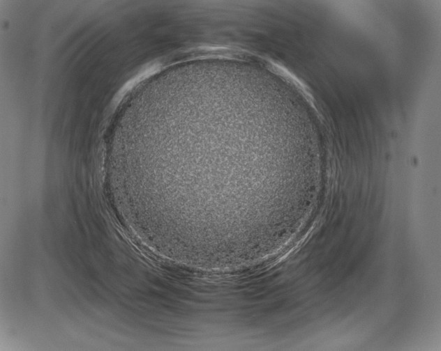 X0000086241411200703291343