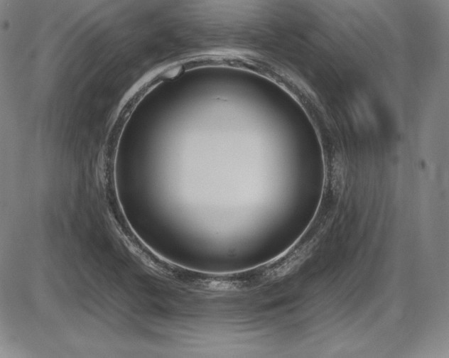 X0000086241412200703291343