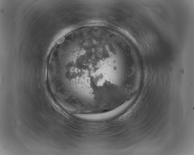X0000086241413200703291343