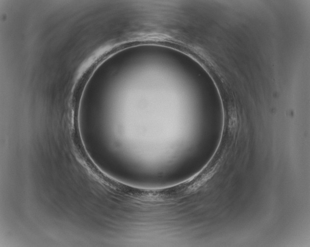 X0000086241414200703291343