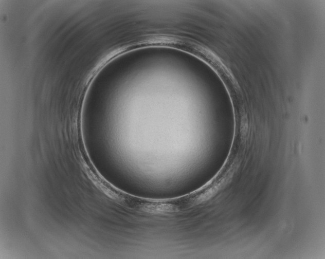 X0000086241417200703291343