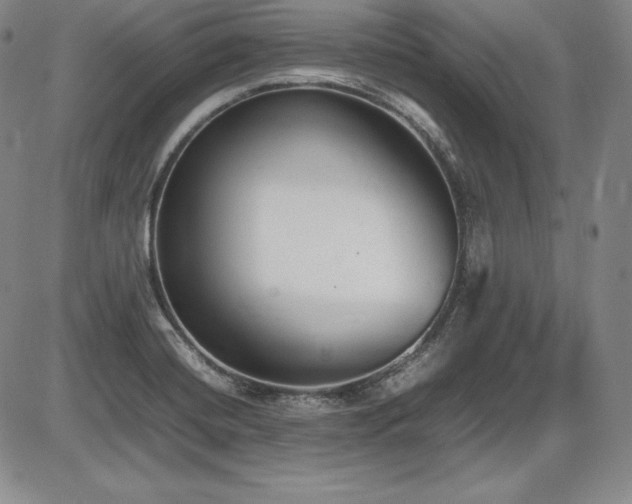 X0000086241420200703291343