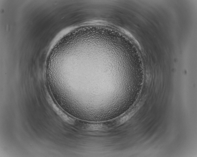 X0000086241421200703291343