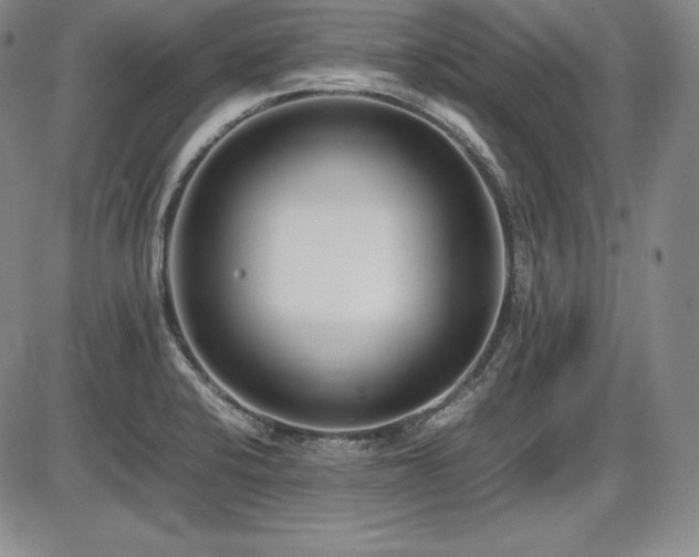 X0000086241424200703291344
