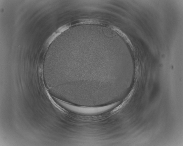 X0000086241425200703291344