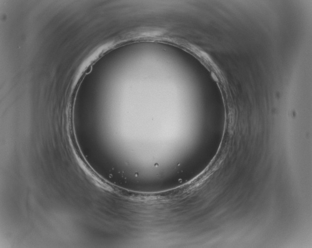 X0000086241432200703291344