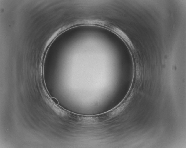 X0000086241436200703291344