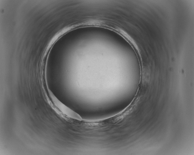 X0000086241437200703291344