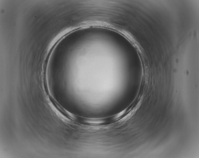 X0000086241438200703291344