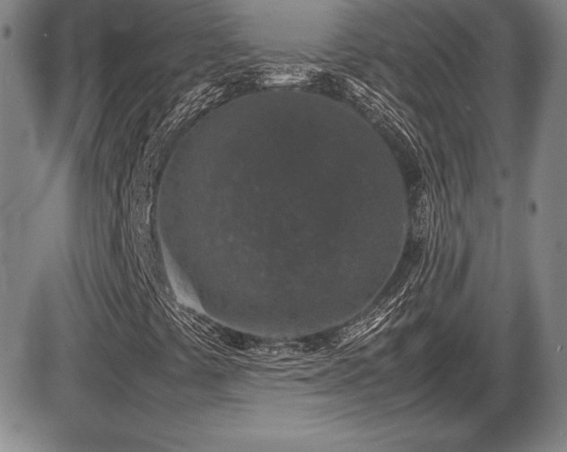 X0000086241441200703291343