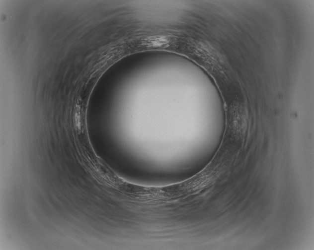 X0000086241442200703291343