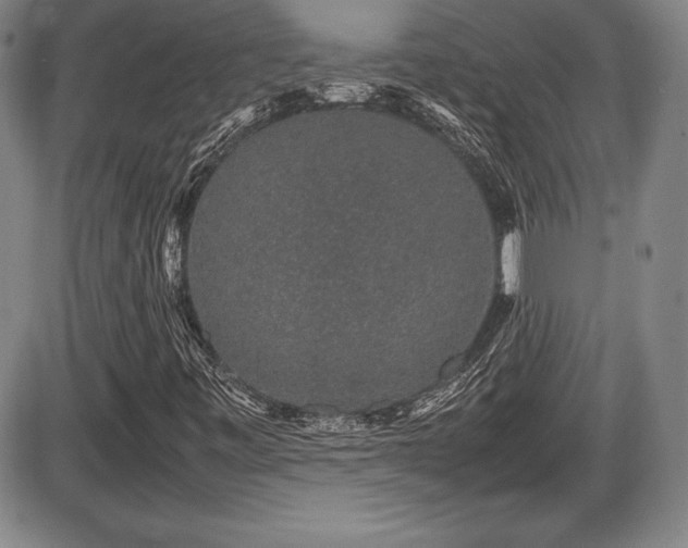 X0000086241443200703291343