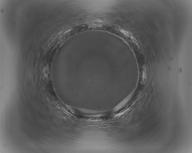 X0000086241445200703291343