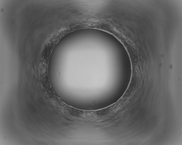 X0000086241447200703291343