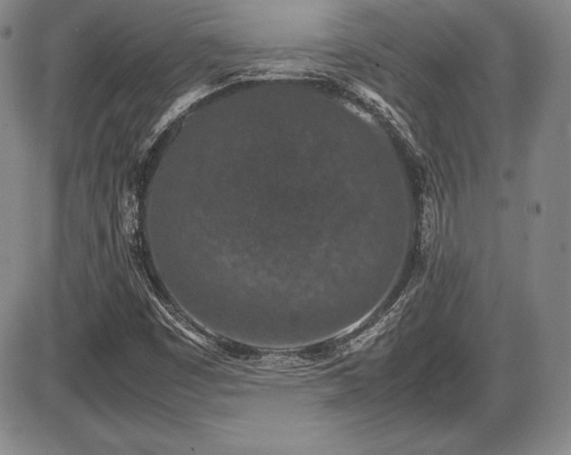 X0000086241449200703291343