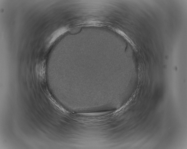 X0000086241450200703291343