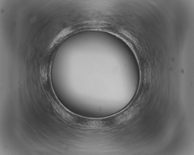 X0000086241451200703291343
