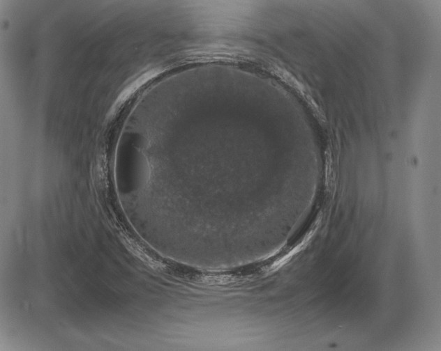 X0000086241453200703291343