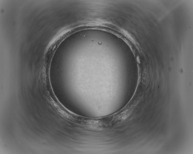 X0000086241456200703291343