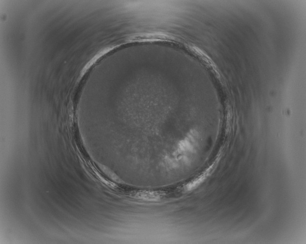 X0000086241457200703291343