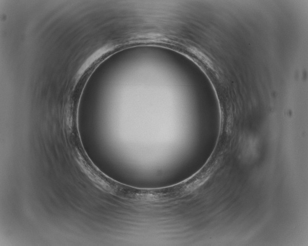 X0000086241458200703291343