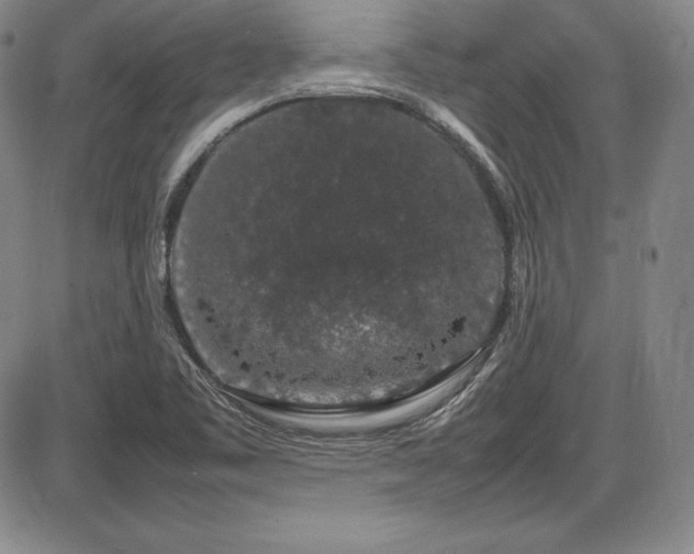 X0000086241461200703291343