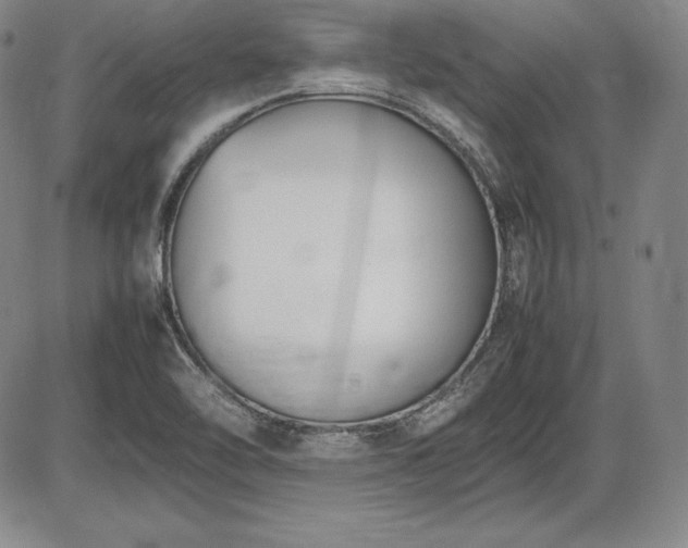 X0000086241462200703291343