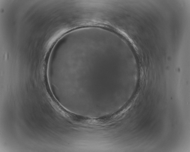 X0000086241463200703291343