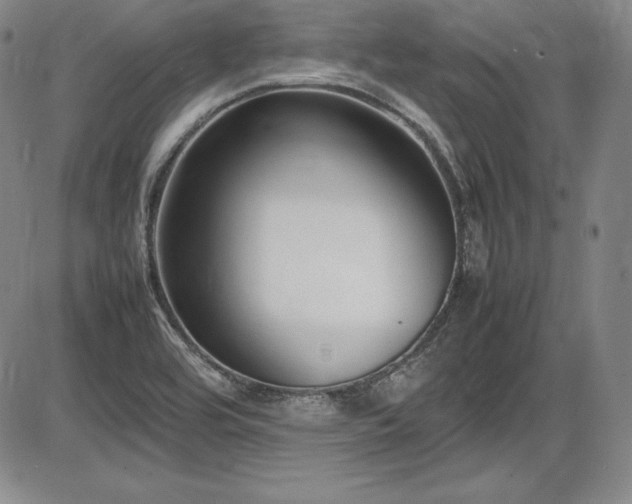 X0000086241464200703291343
