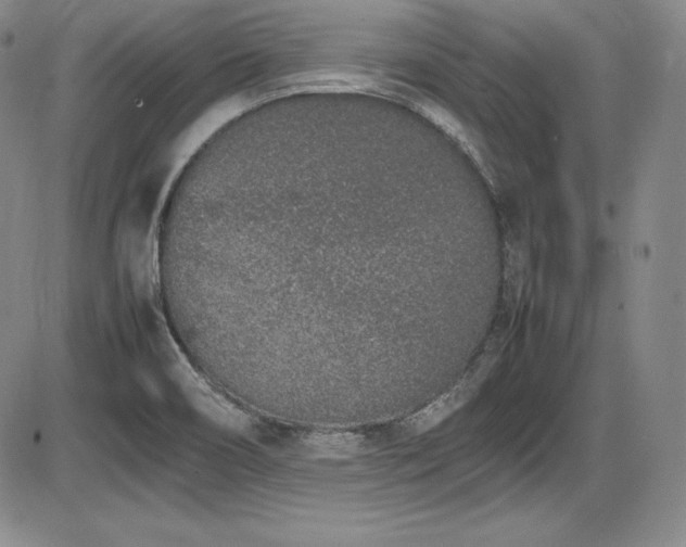 X0000086241466200703291343