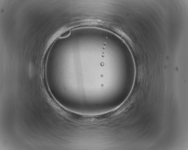 X0000086241467200703291343