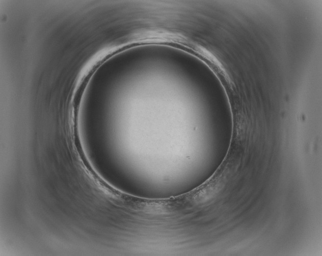 X0000086241472200703291342