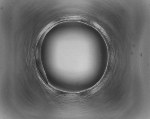 X0000086241473200703291342