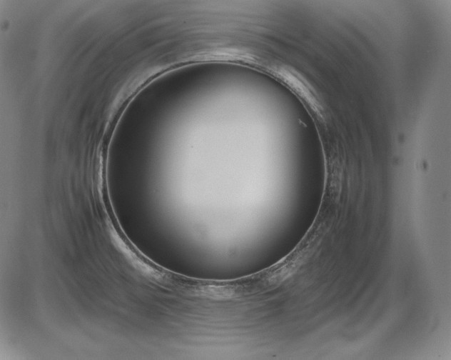 X0000086241476200703291342