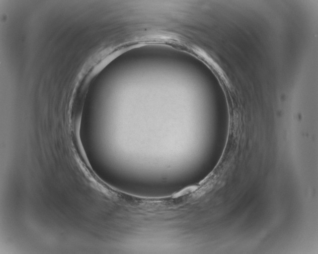 X0000086241477200703291342