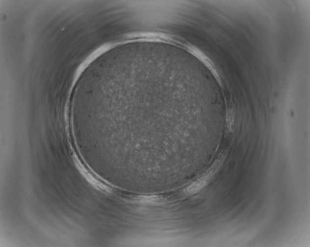 X0000086241482200703291342