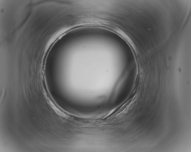 X0000086241485200703291342