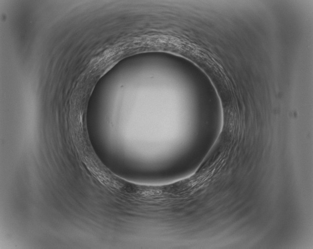 X0000086241489200703291341