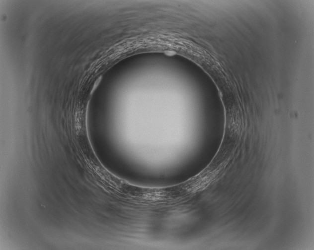 X0000086241490200703291341