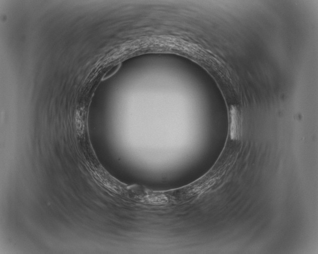 X0000086241491200703291341
