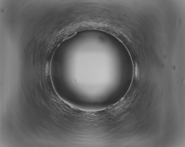 X0000086241492200703291341