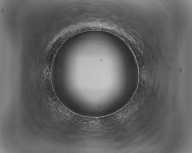 X0000086241495200703291342