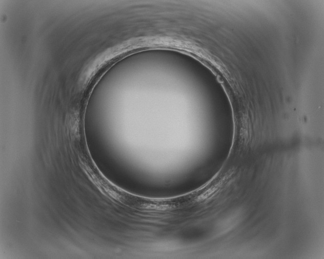 X0000086241499200703291342