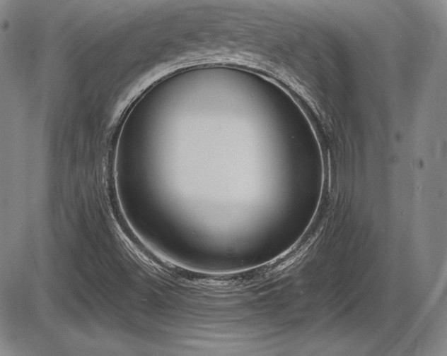 X0000086241500200703291342