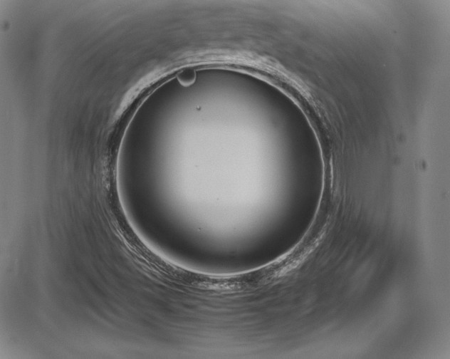 X0000086241501200703291342
